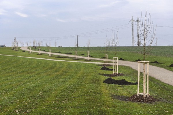 Zelený pás  - Segment 1