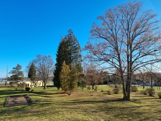 Původní školní park