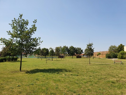 Výsadba nových stromů v intravilánu obce